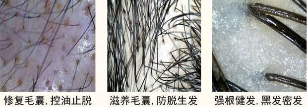 ���ݷ���Ƥ����ҽԺ