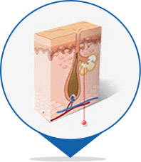 ���ݷ���Ƥ����ҽԺ