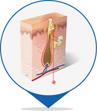 ���ݷ���Ƥ����ҽԺ